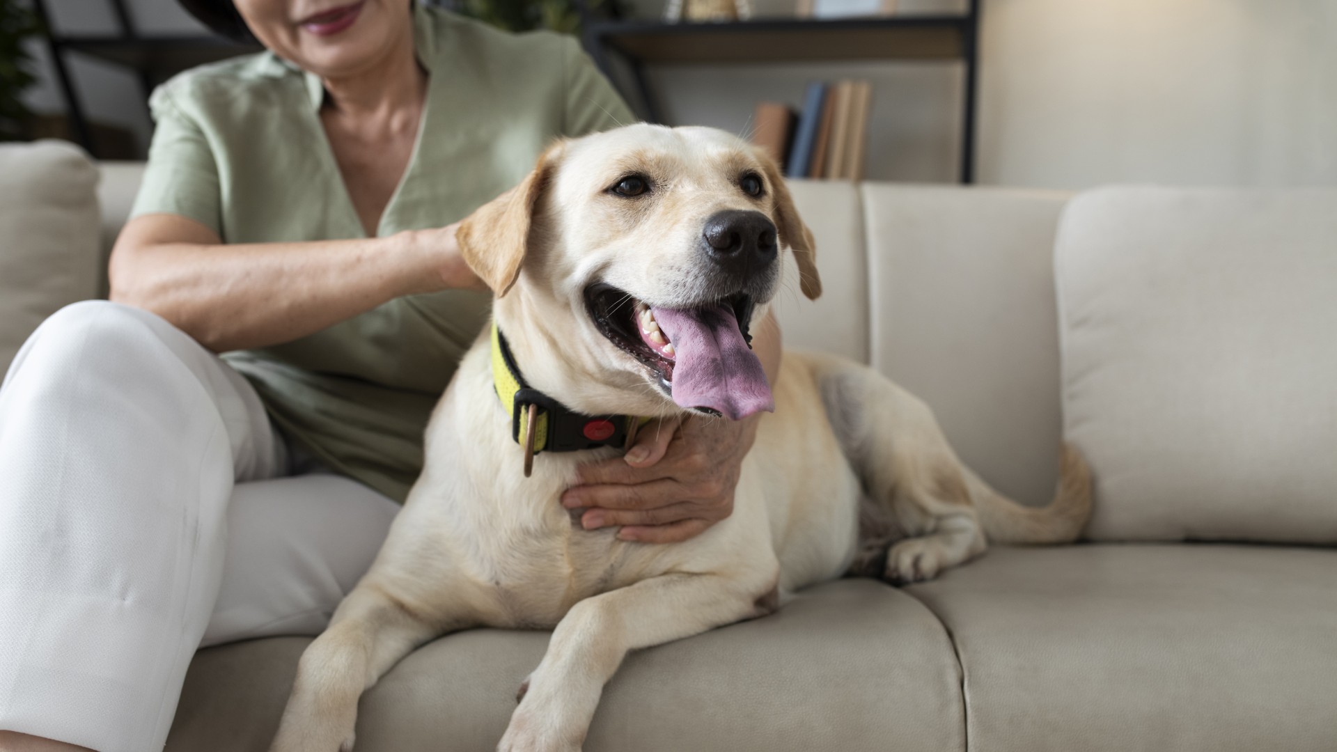 New Patient Registration Form Hudson Veterinary Care