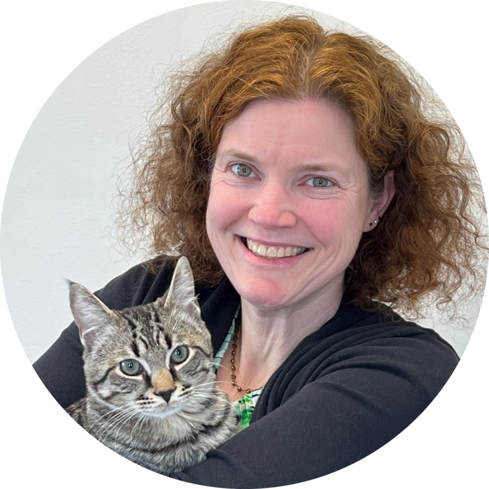 Veterinarian In Hudson, NH 03051 Hudson Veterinary Care